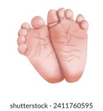 Small photo of Baby's soles newborn Procreate illustration