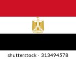 flag egypt | Shutterstock .eps vector #313494578