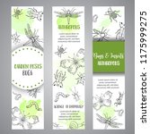 bugs insects hand drawn banner. ... | Shutterstock . vector #1175999275