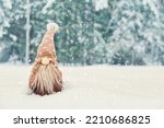 Christmas card with cute gnome in snowy winter forest, copy space. Fairytale snowfall