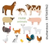 a large set of animals and... | Shutterstock .eps vector #597045962