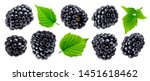 Ripe blackberry isolated on...