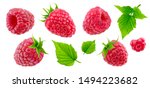 Raspberry collection isolated on white background with clipping path