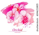 floral design with orchid... | Shutterstock .eps vector #604621805
