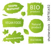 natural  organic  bio product ... | Shutterstock .eps vector #309781652