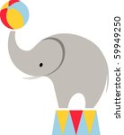 Elephant In The Circus