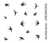 birds on a gray background icon ... | Shutterstock .eps vector #1081842542