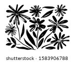 chamomile hand drawn paint... | Shutterstock .eps vector #1583906788
