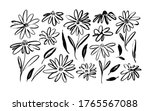 chamomile hand drawn black... | Shutterstock .eps vector #1765567088
