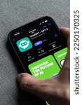 Small photo of Woman's hand holding an iPhone with appstore and ChatGPT and Chat bot apps, artificial intelligence time. 01.01.2023 Amsterdam, Netherlands