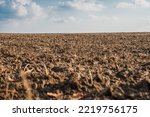 A plowed field, dry land close-up.