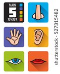five senses  nose  hand  mouth  ... | Shutterstock .eps vector #527315482