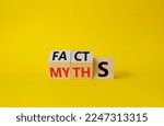 Small photo of Facts vs Myths symbol. Wooden cubes with words Myths and Facts. Beautiful yellow background. Business and Facts vs Myths concept. Copy space