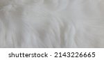 Small photo of Cat Fur Texture Pattern Background, Natural Long Hair Fur Texture Top View, White Clean Wool, Light Natural Sheep Wool Cotton Texture of Fluffy Fur, Close-up Fragment White Wool Carpet Sheepskin