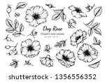 Collection Set Of Dog Rose...