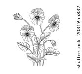 hand drawn pansy floral... | Shutterstock .eps vector #2031955832