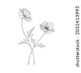 hand drawn poppy floral... | Shutterstock .eps vector #2032413995