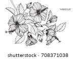 hand drawn and sketch hibiscus... | Shutterstock .eps vector #708371038