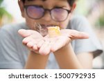 Small photo of Asian boy eating smoking canny happily - people and snack happy time concept