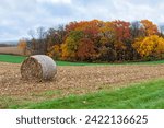 On a cloudy day, a single hay bale sits on top of a hilly field. Colorful autumn trees are surrounded by the plowed fields.