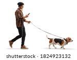 Small photo of Full length profile shot of a bearded guy using a mobile phone and walking a basset hound dog isolated on white background