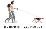 Small photo of Full length profile shot of a boyfriend and girlfriend walking a beagle dog isolated on white background