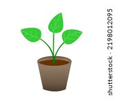 Potted Plant With Three Leaves...