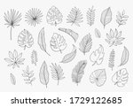 tropical leaves in doodle style.... | Shutterstock .eps vector #1729122685