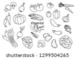 organic food design template.... | Shutterstock .eps vector #1299504265