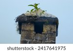 Small photo of house chimney pipe smokestack made of bricks roof home rustic tiles, Black smoke from the chimney of an apartment building during heating and heating on the roof of slate. Roof of house with chimney