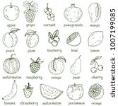 set of fresh healthy hand... | Shutterstock .eps vector #1007199085