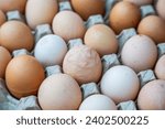 A tray of free range chicken eggs in a tray, with selective focus
