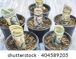 Image of saving and investment concept. Money growing in pot filled with soil, representing Invest today to reap in the future and compounding effect.