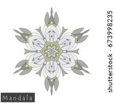 floral symmetrical geometrical... | Shutterstock .eps vector #673998235