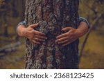 Small photo of Hands hug a tree trunk in the forest, protecting it. Man cares about nature and tries to preserve it. Hands on the trunk of a mighty tree lovingly embrace him, protecting him. Forest care concept.