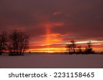 Incredible orange and purple sunset in prairies with silhouettes of bare trees, snow on the ground and the light pillar from the sun as a sign from above.