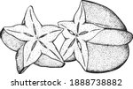 hand drawn star fruit. a slice... | Shutterstock .eps vector #1888738882
