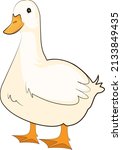 White Duck  Illustration ...