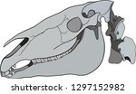 Vector Horse Skull With Vertebra