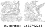 coloring book. butterfly and... | Shutterstock .eps vector #1682742265