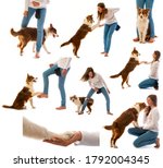collection   girl and her dog   ... | Shutterstock . vector #1792004345
