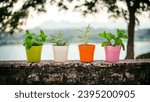 Small photo of fragrant, fresh, gardening, balmy, essence, culinary, fragrance, collection, green, aroma, aromatic, alternative, healing, freshness, aromatherapy, care, garden, being, cooking, essential, growing