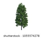 3d rendering tree on the white... | Shutterstock . vector #1055574278