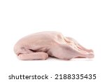 Raw and uncooked whole duck...
