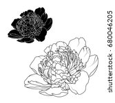 peony rose flowers black and... | Shutterstock .eps vector #680046205