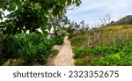 Small photo of beautiful famous trail Noosa coastal walk running alongside the pacific ocean in the famous noosa national park