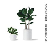 home succulent plants in cement ... | Shutterstock .eps vector #1558391402