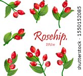 Set Of Red Rosehip Berries On...