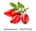 Rose hip with leaves