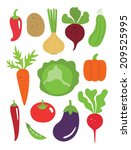 vegetables set. vector... | Shutterstock .eps vector #209525995